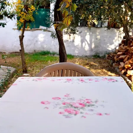 Muestakil Bahceli, Huzurlu Tatil *